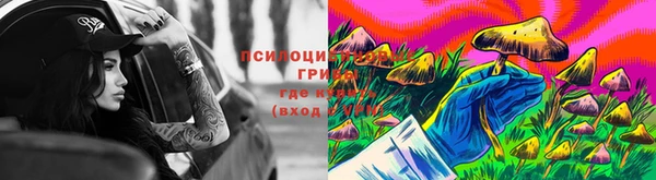 мет Богданович