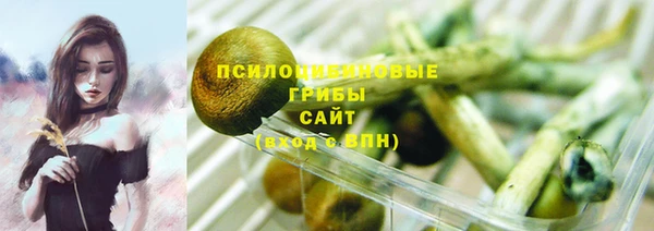 ECSTASY Богородск