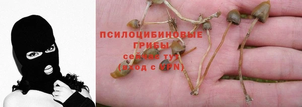 мет Богданович