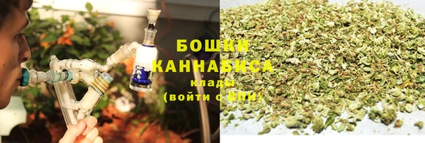 ECSTASY Богородск